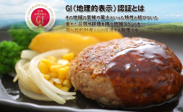 GI認証 あか牛 ハンバーグ 《ご家庭用》 150g×10 あか牛 肉 牛肉 ハンバーグ 熊本あか牛肉汁 冷凍 惣菜 おかず 小分け お取り寄せ 熊本県 水上村