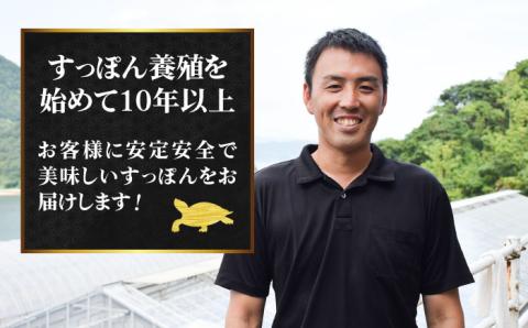 鍋が料亭級に大変身！？安心安全な国産の最高級食材！江田島すっぽん【切り身】400g 江田島市/平井興産株式会社 [XAC002]