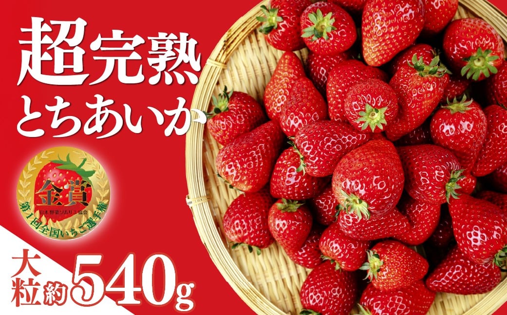 
            【選べる発送月】いちご 「茂木完熟いちご」　第1回いちご選手権金賞 とちあいか 大粒 約270g × 2パック 合計 約540g | いちご イチゴ 苺 とちあいか ストロベリー 完熟 果物 フルーツ 甘い あまい 大粒 特大 第１回いちご選手権金賞  ブランドいちご くだもの 旬 産地直送 栃木県産 美土里農園 栃木県 茂木町
          