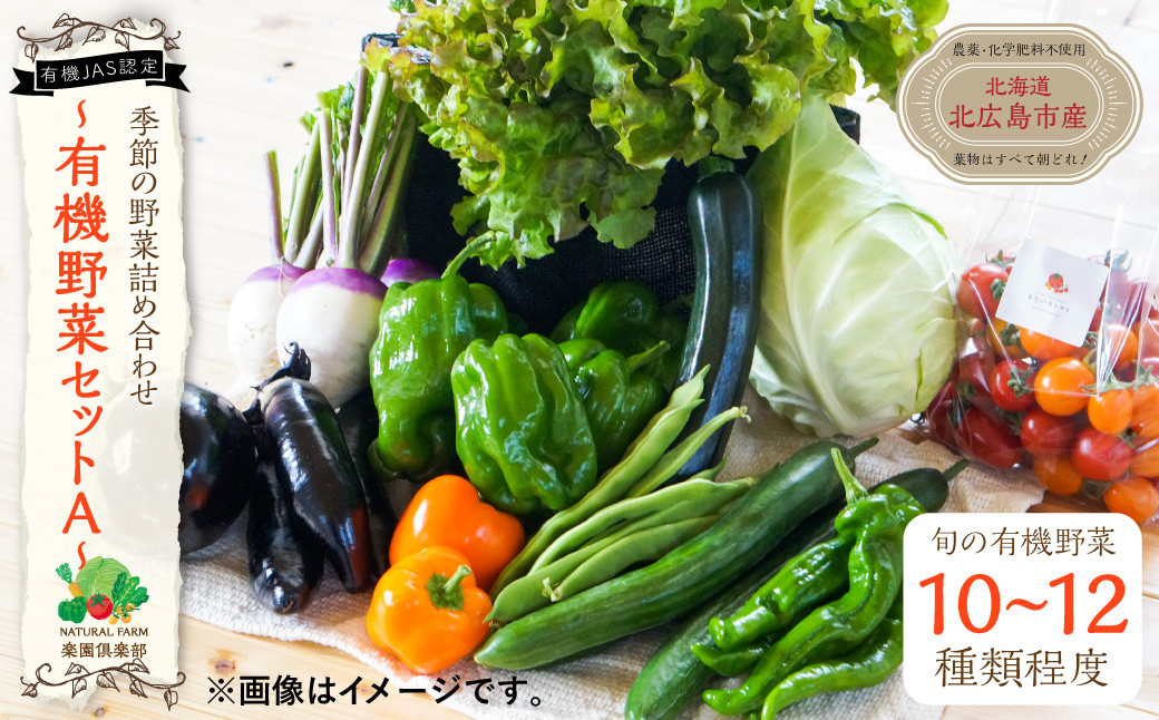 
【有機JAS認定】季節の野菜 詰め合わせ 10種類～12種類程度 有機野菜セットA 北海道北広島市
