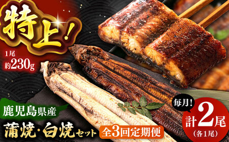 全3回定期便 鹿児島産うなぎ2尾 蒲焼・白焼セット 桂川町/山水商事 [ADAH018] 鰻 鰻蒲焼き 白焼 鰻白焼 鰻セット 特大鰻 定期便