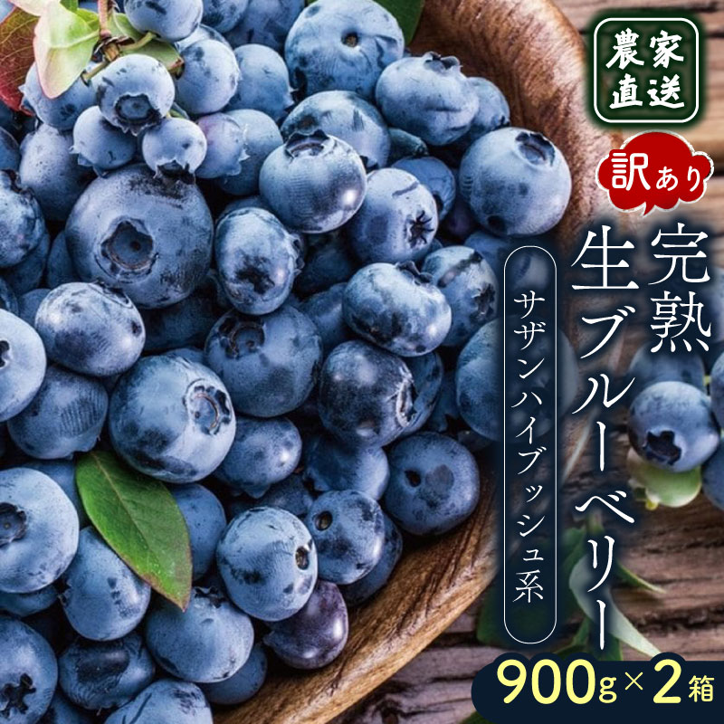 【ふるさと納税】 訳あり 農家直送 完熟生ブルーベリー（サザンハイブッシュ系）1800g 2026 早期予約 年発送 土佐ひらやま農園 ブルーベリー フルーツ 果物 くだもの 食品 人気 美容 おすすめ 期間限定 数量限定 高知県 南国市