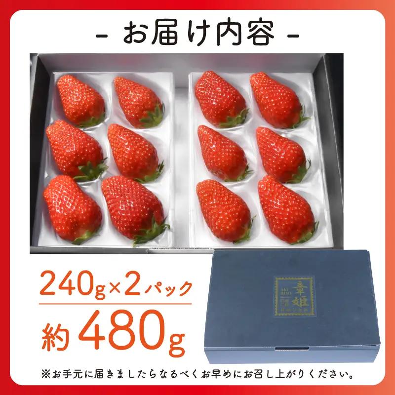 【2027年1月中旬以降発送】 いちご 章姫 (大粒+中粒) 480g前後（240g×2） イチゴ 苺 いちご
