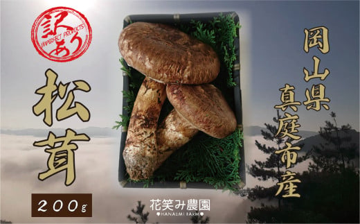 【2026年先行予約】花笑み農園　岡山の訳あり『松茸』200g 【hana023-02】
