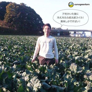 【ふるさと納税】数量限定 糸島産温室栽培 虎太郎西瓜（こたろうすいか）【スイカ 甘い ジューシー シャリシャリ】 [AIC002]