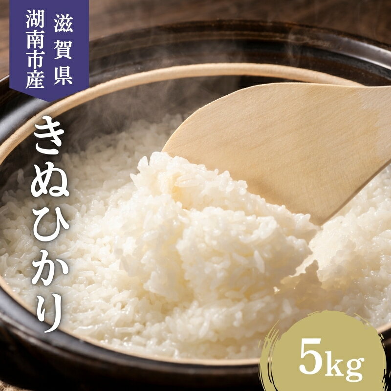 【ふるさと納税】【先行予約受付中】令和7年産 滋賀県産 米 きぬひかり 5kg