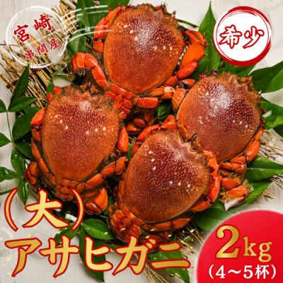 ふるさと納税 串間市 【先行予約】宮崎県串間産(大)アサヒガニ 約2kg(4〜5杯)