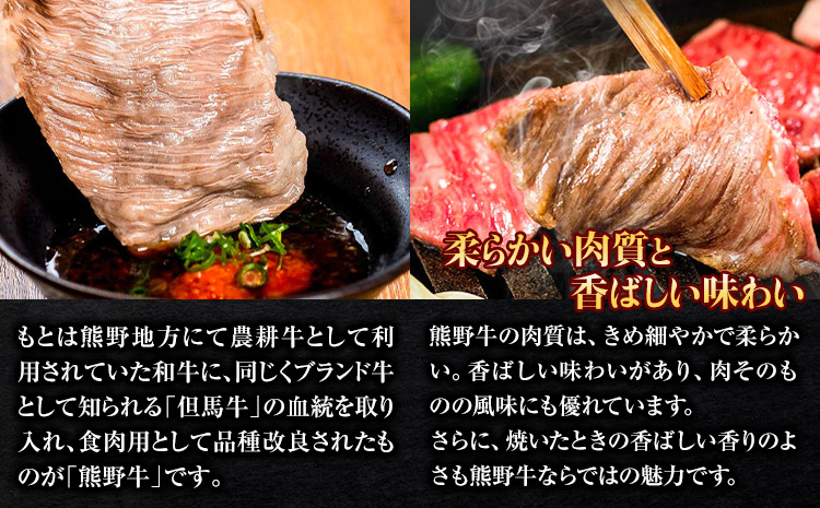 極旨！熊野牛 牛丼の具5個セット(粉山椒付き)《30日以内に出荷予定(土日祝除く)》 和歌山県 日高町 熊野牛 牛 うし 牛肉 牛丼用 お惣菜  澤株式会社(Meat Factory)