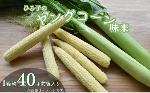 ひろ子のヤングコーン（味来）　約40本前後入り1箱