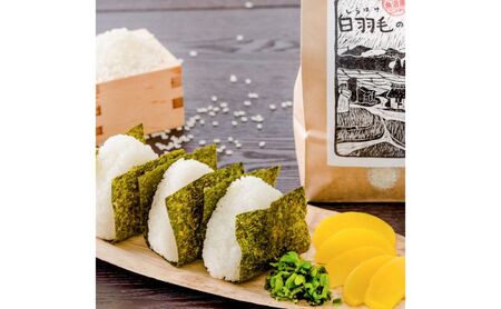 【通年受付】≪令和5年産≫【定期便／1ヶ月おき全6回】農家直送！魚沼産コシヒカリ特別栽培「白羽毛の米」精米(1kg×5袋)×6回  30kg