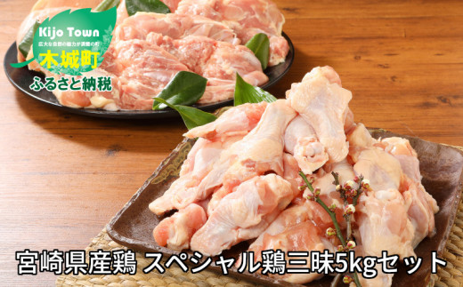 
★スピード発送!!７日～10日営業日以内に発送★＜宮崎県産鶏 スペシャル鶏三昧5kgセット＞ K16_0017_4
