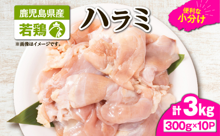 鹿児島県産 若鶏 ハラミ 3kg セット KN105-017 鶏肉 鶏 とり 肉 お肉 冷凍 鶏ハラミ 小分け ストック カット済み 時短 炭火焼 焼肉 便利 真空パック 新鮮 TRINITY ふるさと納税 鹿児島 鹿屋市 おすすめ ランキング プレゼント ギフト