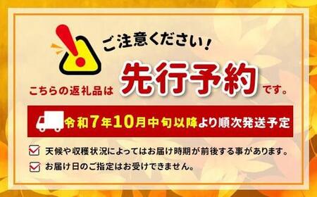 【先行予約】信州産 塩尻エールりんご!果汁たっぷり ぐんま名月 約10kg(28~40玉)【10月中旬頃~発送予定】| 果物 くだもの フルーツ 林檎 りんご リンゴ ぐんま名月 果実 アップル 長野