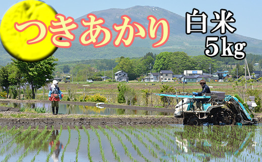 
            【2024年11月発送開始】 令和6年産 新米 つきあかり 精米 5kg ／  白米 産地直送 岩手県産 【かきのうえ】
          