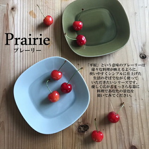 【美濃焼】 プレーリー オリーブ プレートL 2枚セット 瑞浪市 / JS企画 小田陶器 セット 食器 プレート 皿 小皿 [AZAZ259]