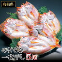 【ふるさと納税】 干物 のどぐろ 5尾 1尾あたり 約121g〜140g のどぐろ一夜干 人気 魚介類 魚 高級魚 ノドグロ アカムツ 白身魚 トロ 贅沢 冷凍 真空 特産品 お取り寄せ 自宅用 家庭用 贈答用 贈答 ギフト プレゼント 父の日 母の日 グルメ