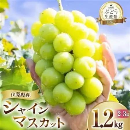 【2026年発送 先行受付】山梨県山梨市産 朝採れ シャインマスカット 1.2kg (2～3房)【配送不可地域：離島・沖縄県】【1691267】