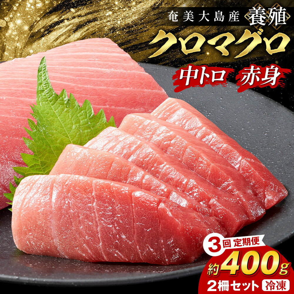 【ふるさと納税】【3回定期便】奄美大島産養殖クロマグロ 2柵セット