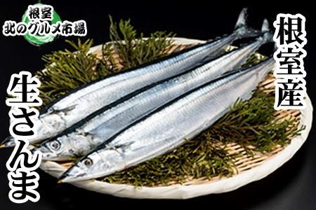 【12/31決済分まで1月中配送】 【北海道根室産】冷凍さんま5尾×8P(計40尾) C-76001