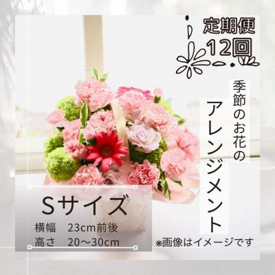 ふるさと納税 筑西市 【毎月定期便】季節のお花のアレンジメントSサイズ〜届いてそのまま飾れるフラワーアレンジ全12回
