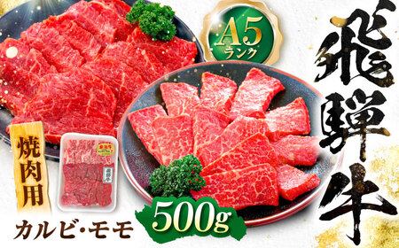 飛騨牛 A5等級 焼肉用 カルビ・モモ 500g カルビ カルビ焼肉 カルビ肉 もも肉 焼肉 焼き肉 やきにく 焼肉セット 焼肉用 赤身 最高級 a5 A5 牛 和牛 牛肉 お肉 高級 贈答ギフト 岐阜市 / 肉の松久[ANIP003]