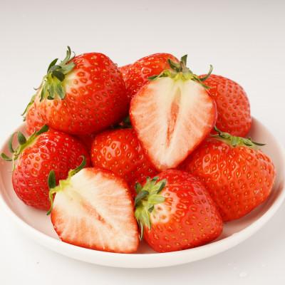 ふるさと納税 東かがわ市 【発送月固定定期便】東かがわ市フルーツ定期便全4回 |  | 03