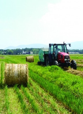 MC‐06　特産松阪牛サーロインステーキ_イメージ2