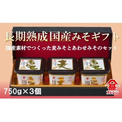 ふるさと納税 臼杵市 [フジジン]国産みそギフトセット(合わせみそ&amp;麦みそ)