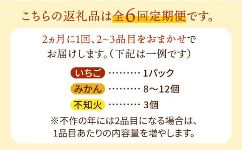 【6回定期便 隔月】フルーツ定期便 旬の果物 詰め合わせ 季節の果物をお任せで2?3品目お届け（2?3品目×6回）/ 果物 セット 甘い 南島原市 / 吉岡青果 [SCZ016]