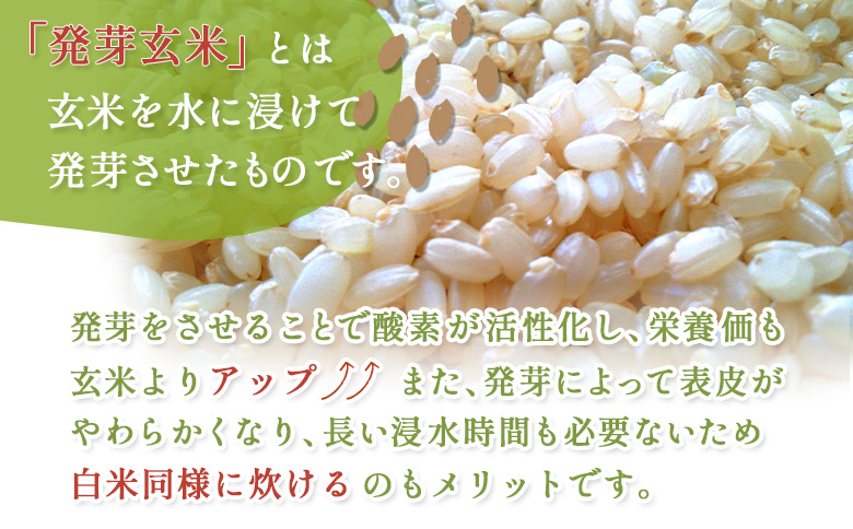 【6回定期便】【スーパー玄米！発酵発芽玄米】合鴨農法ななつぼし 【有機肥料/無農薬・無化学肥料･備蓄用】令和６年度米 1.8kg(450g×4袋) 水田環境鑑定・米食味鑑定士鑑定米【Yesclean加