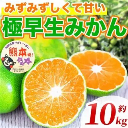 極早生みかん 2S～2L 約10kg(益城町)【1725632】