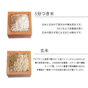 【選べる精米率】 新米 令和7年産 三重県産 コシヒカリ 5kg [ 白米 玄米 5分つき米 7分つき米 ]　三重県津市 玄米