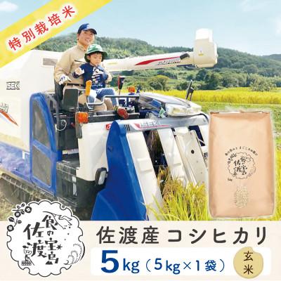 ふるさと納税 佐渡市 佐渡島産コシヒカリ 玄米5Kg 土屋農園 農家直送 令和7年産 特別栽培米 【食の宝島佐渡】