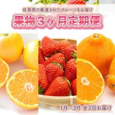ふるさと納税 吉野ヶ里町 【発送月固定定期便】旬の果物3か月定期便(吉野ヶ里)全3回