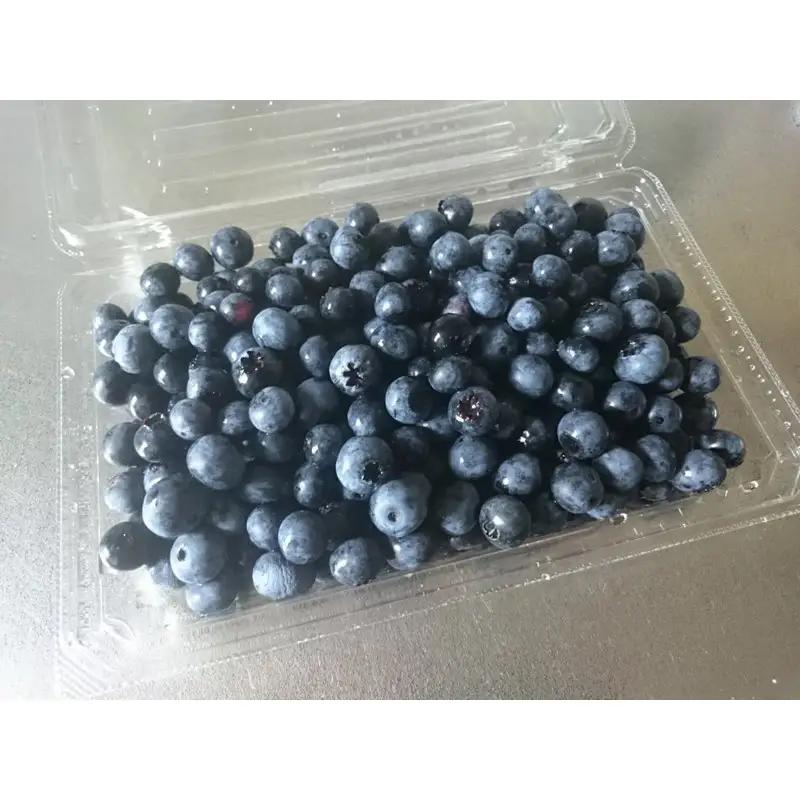 【数量限定100】国産 京都丹後ブルーベリー 350g×2パック（2027年7月上旬～発送）｜ベリー