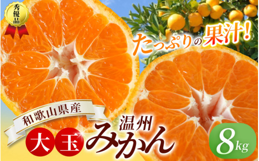 ボリューム満点！大玉 温州みかん 8kg 秀優品【2L～3Lサイズ】【2025年12月から2026年２月下旬頃に順次発送】＜味好農園＞/ 温州 蜜柑 みかん 柑橘 果物 フルーツ ミカン 【agy011A】