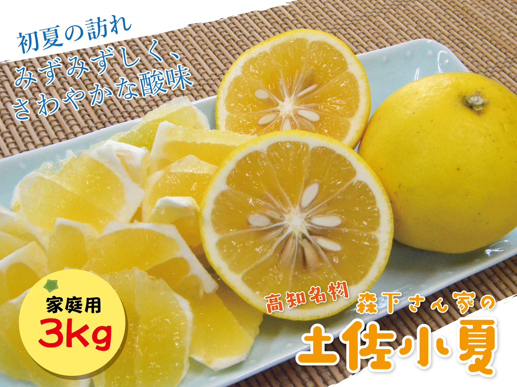 【2026年発送】森下さん家の(家庭用)土佐小夏（約3kg）