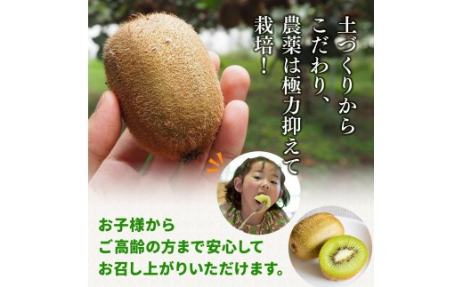 厳選 キウイフルーツ 2.5kg+250g（傷み補償分）/ キウイフルーツ 高級 和歌山 ※2026年11月中旬より2027年4月下旬頃順次発送予定 ※北海道・沖縄・離島への配送不可 【ikd505-