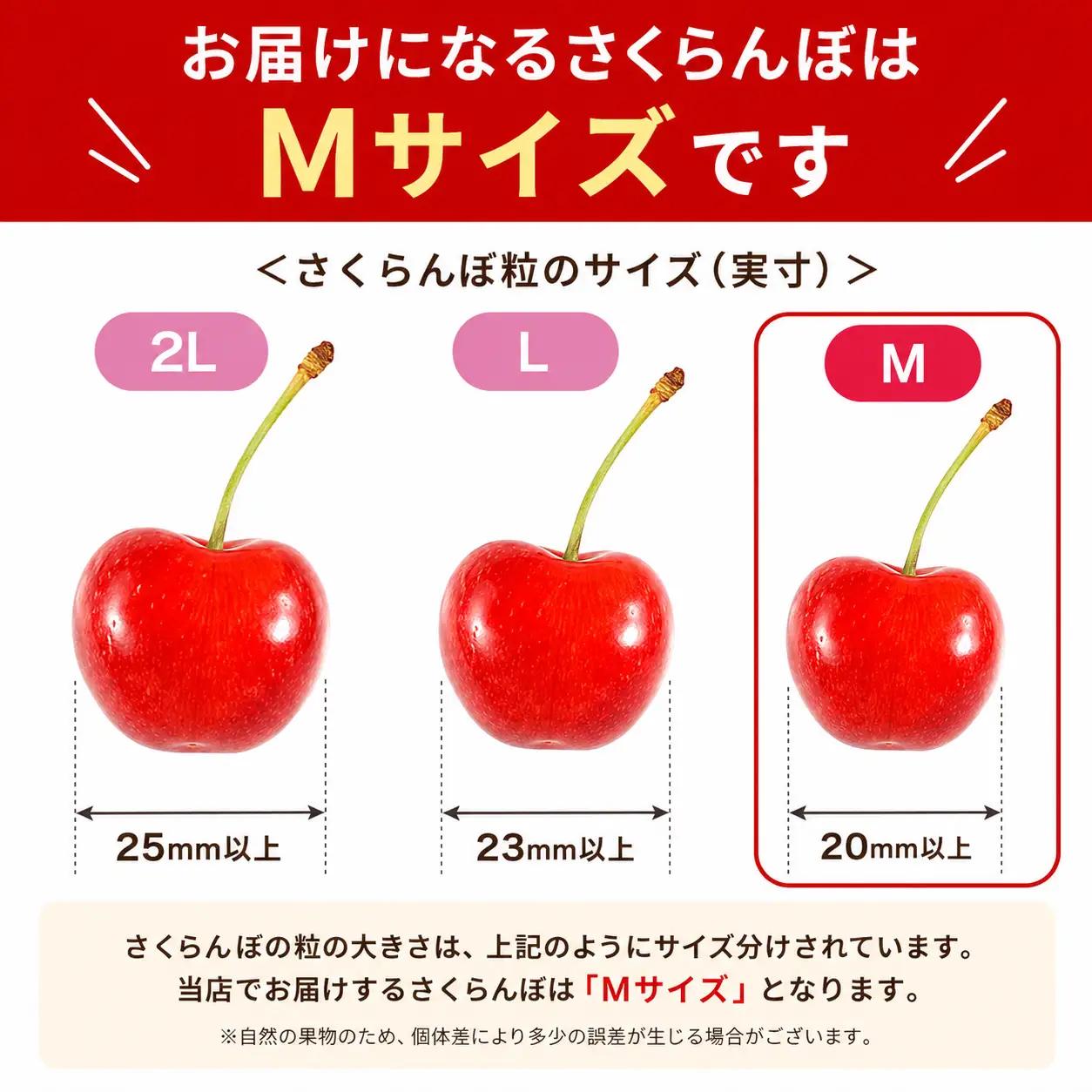 【6月下旬発送】 さくらんぼ  紅秀峰 M 500g 田屋果樹園 taya001