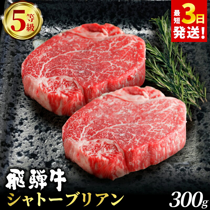 【ふるさと納税】 飛騨牛 最高5等級 シャトーブリアン ステーキ用 300g(150g×2枚) 牛肉 和牛 肉 ステーキ ヒレ フィレ 最高級部位 赤身 肉 牛 牛肉 鉄板焼き お祝い 贈答 ギフト 贈り物 ふるさと納税 東白川村 岐阜 贅沢 霜降り 養老ミート