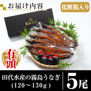 C-077-RT ＜冷凍でお届け＞霧島市育ちのあの「うなぎ」130～150g×5尾【田代水産】国産 霧島市 鰻 蒲焼き