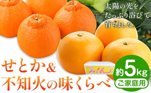 せとか & 不知火 の 味くらべ 約5kg 家庭用 山本農園《2027年3月上旬-4月中旬頃出荷》和歌山県 日高川町 柑橘 フルーツ 果物 みかん しらぬい デコポン と同品種 でこぽん 完熟 ご家庭用 食べ比べ