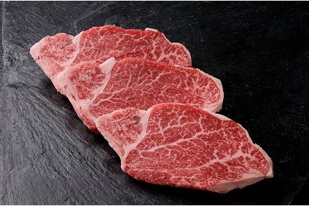 飛騨牛を味わいつくす!!ステーキ・しゃぶしゃぶ・焼肉セット【ヒレ約240g(2枚)/サーロイン約200g(1枚)/リブロース500g/本日の希少部位500g】【11-58】【冷凍】