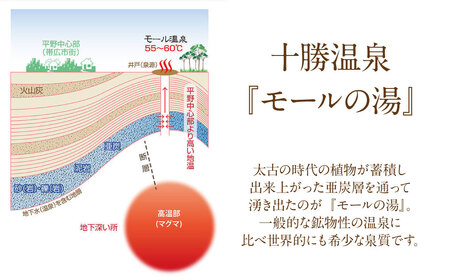 十勝川温泉モール温泉感謝券3000円分【T-10000】