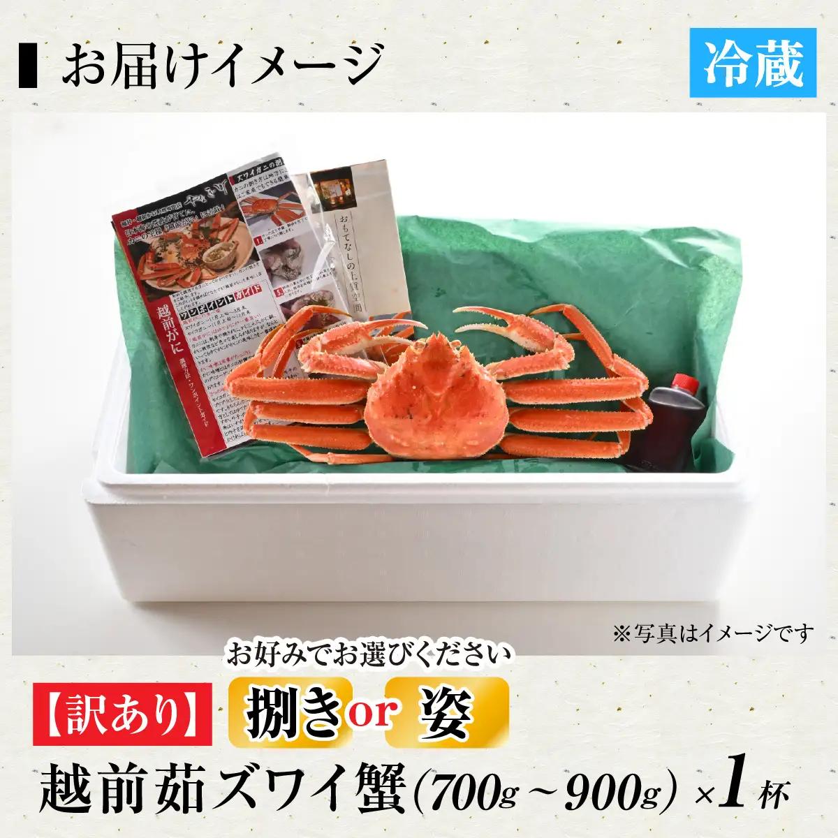 【先行予約】[捌き済選択可][到着日指定可]【訳あり】蟹好きが唸る老舗カニ料理店の越前茹ズワイ蟹 中(700g～900g)＜年内発送＞[K-085038]  / ｽﾞﾜｲｶﾞﾆ ｽﾞﾜｲｶﾞﾆ ｽﾞﾜ