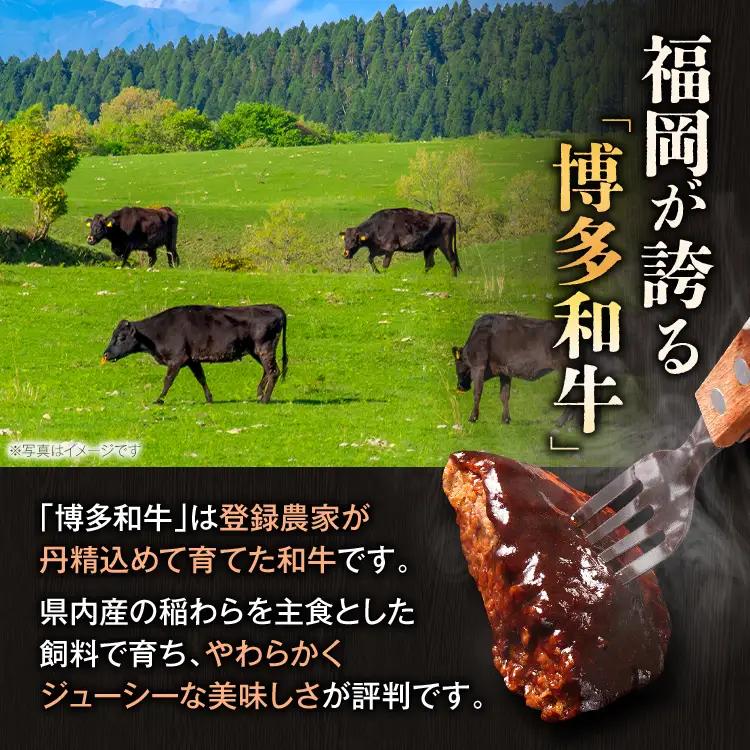 ハンバーグ  博多和牛入りデミグラスハンバーグセット　合計840g（140g×6個）  ハンバーグ 