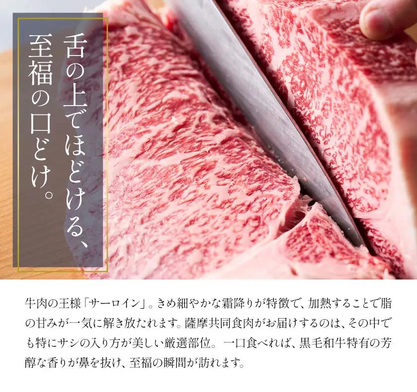 とろける さつま福永牛 サーロインステーキ 400g 有限会社共同食肉