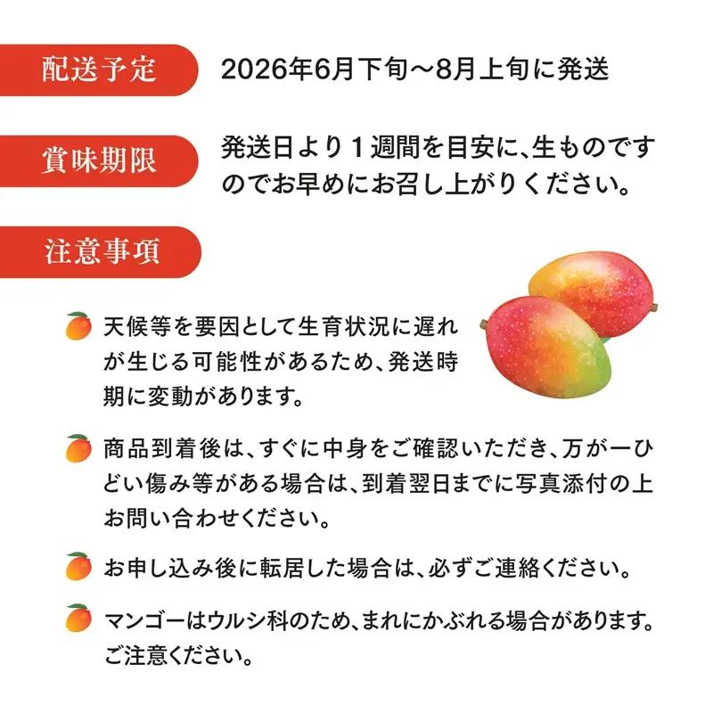 マンゴー 完熟 マンゴー[宮崎 Aクラス 古谷農園 約1kg 2~3玉]
