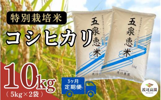 【令和6年産新米】 〈3回定期便〉渡辺農園の特別栽培米コシヒカリ 10kg(5kg×2袋) 新潟県 五泉市 渡辺農園 [9月下旬以降順次発送]