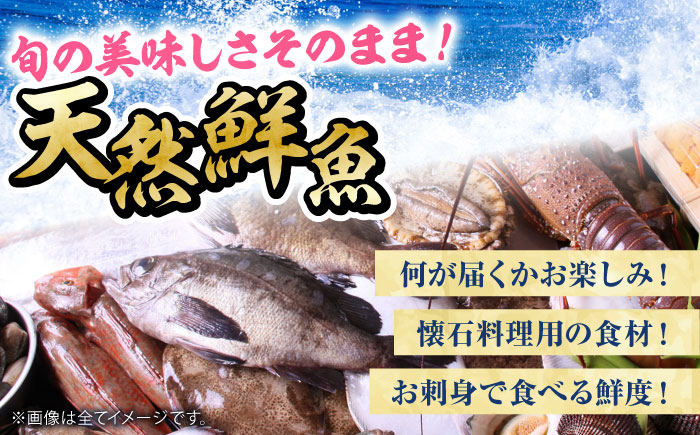 【下処理済み・冷蔵】 おまかせ！天然鮮魚3人前　愛媛県大洲市/天然活魚　濱　屋 [AGBP008]魚介類 魚料理 刺身 パスタ 海 海釣り 料理 海鮮 シーフード 鮮魚 日本酒 ランチ 寿司  海の幸